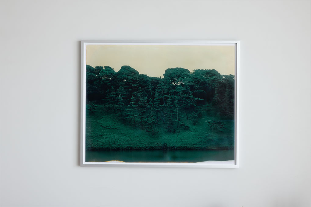 Jardin０１